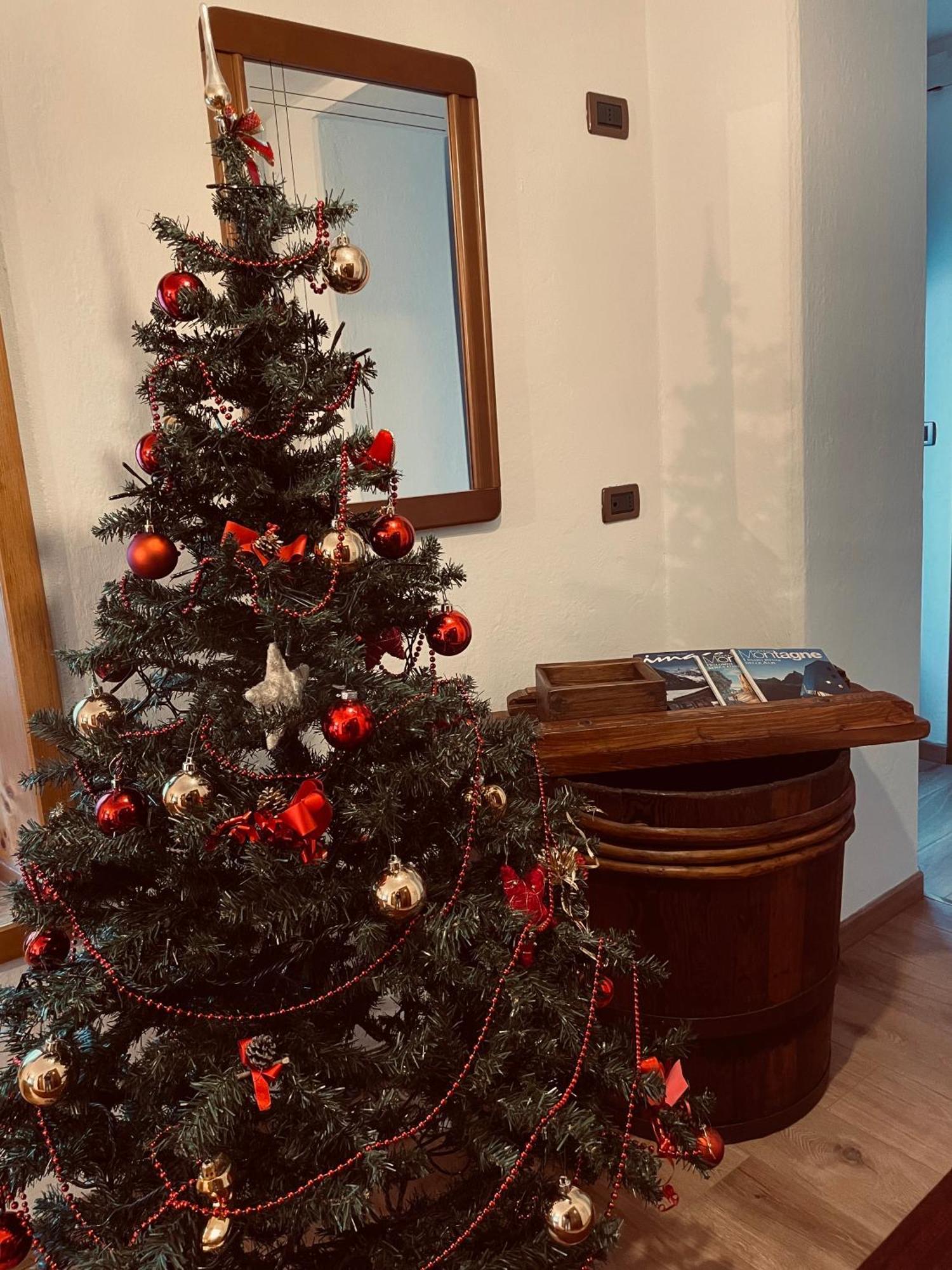 Casa Vacanze Cesco Resia Lejlighed San Pietro di Cadore Eksteriør billede